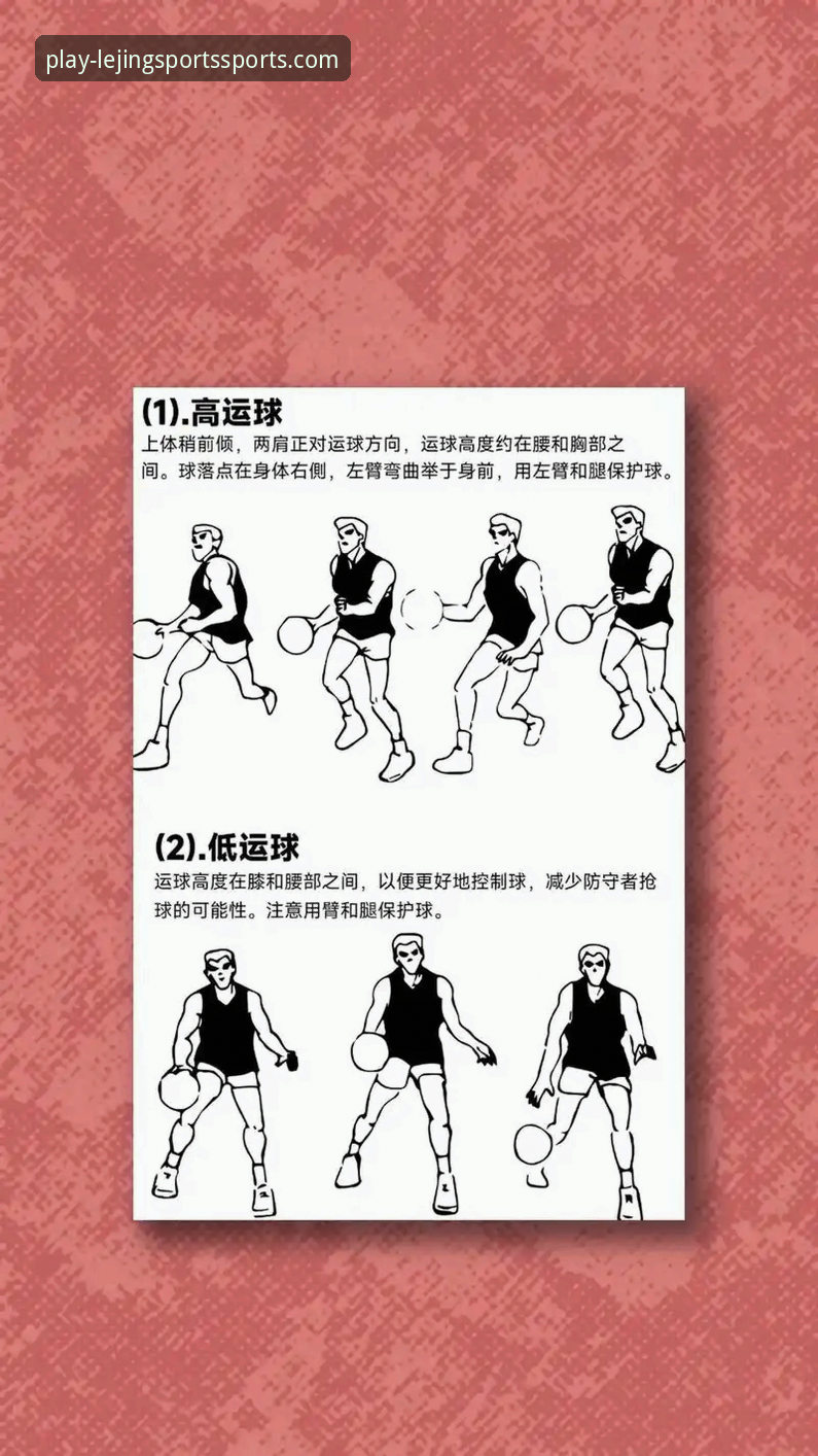 乐竞体育篮球直播 乐竞体育篮球直播新手使用指南:从入门到精通